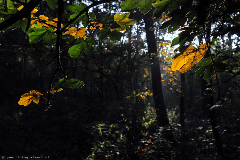 oktober licht