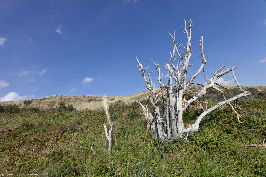 Noordhollands duinreservaat