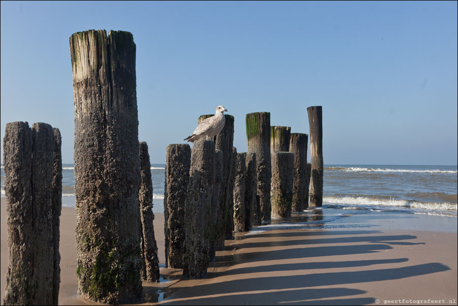 bergen aan zee