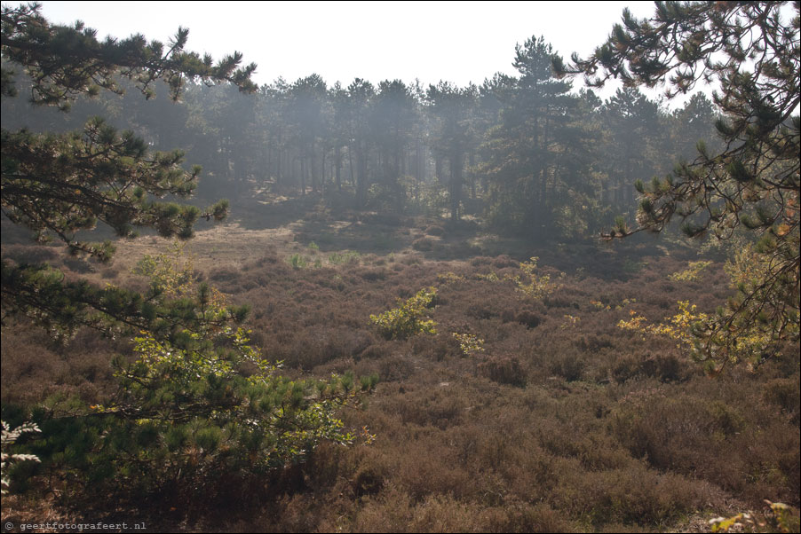 schoorlse duinen