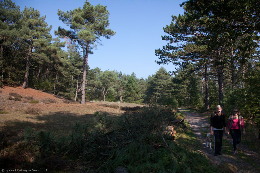 schoorlse duinen