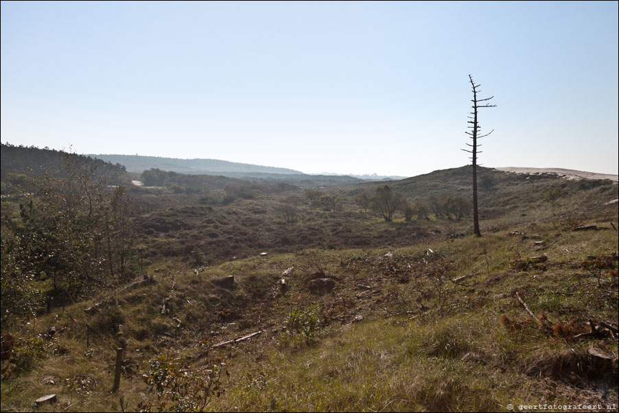 schoorlse duinen