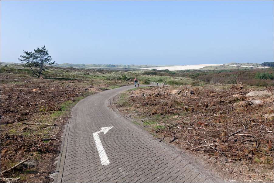 schoorlsche duinen