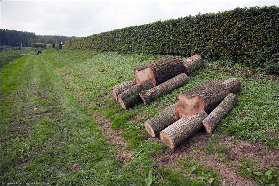 houten mannen