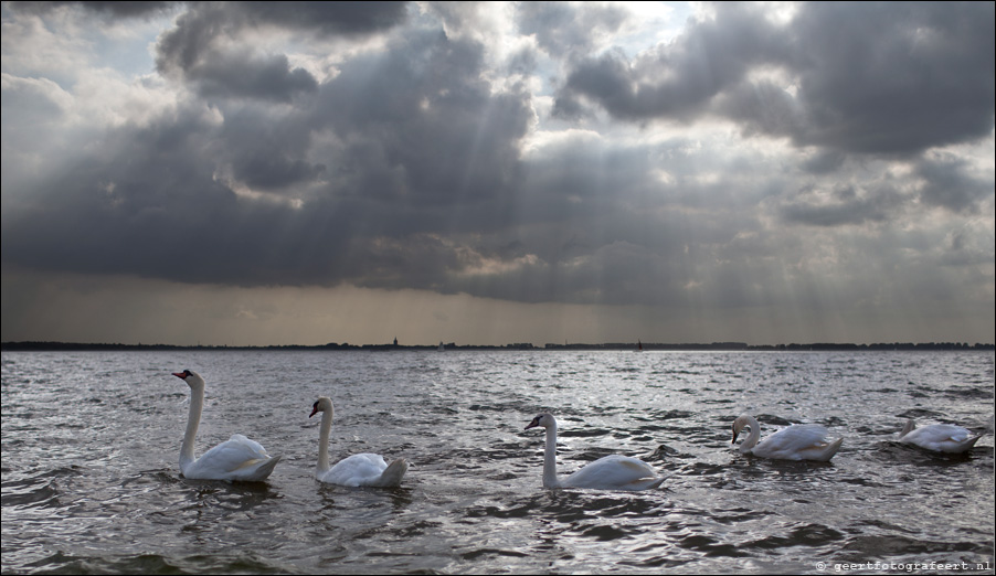 gooimeer zwanenmeer