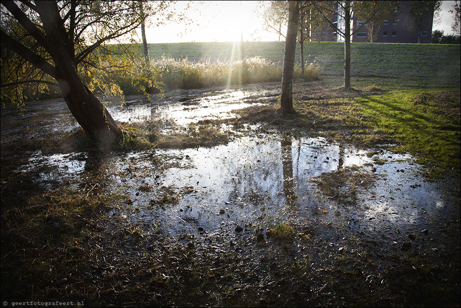 almere haven