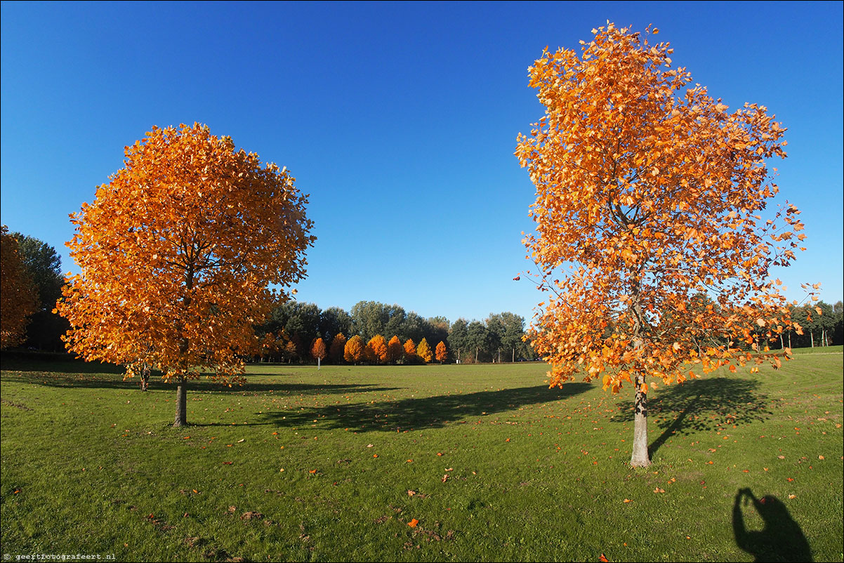 wierdenpark