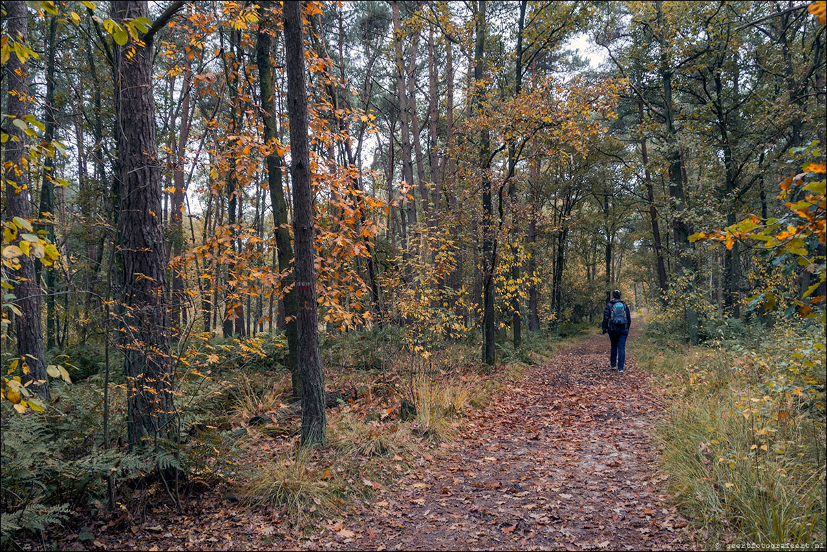 loonse en drunense duinen