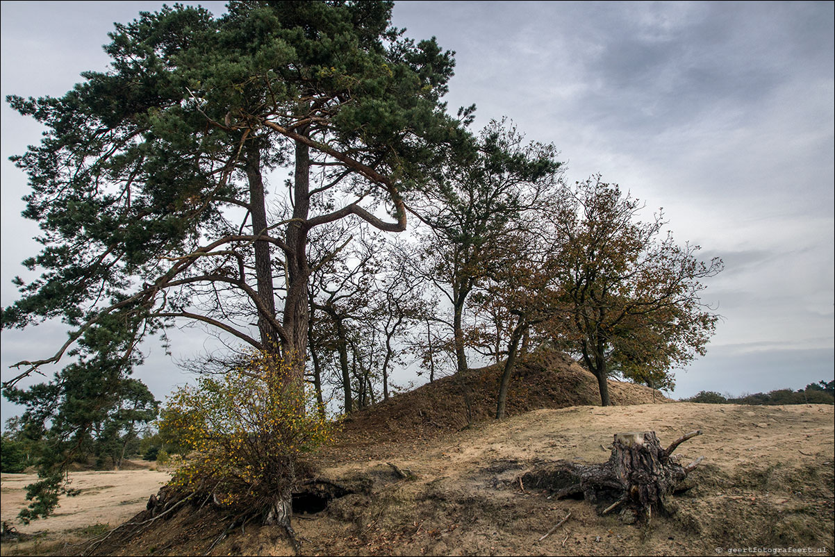 loonse en drunense duinen