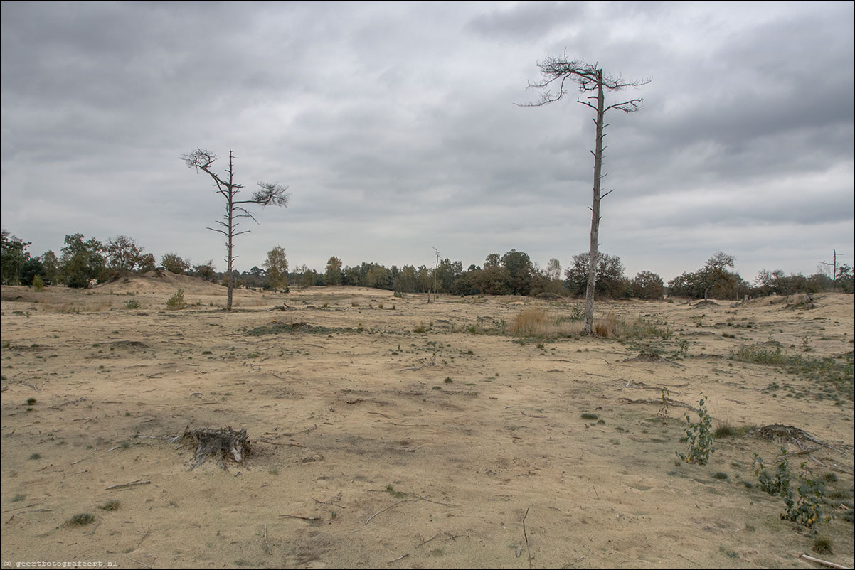 loonse en drunense duinen