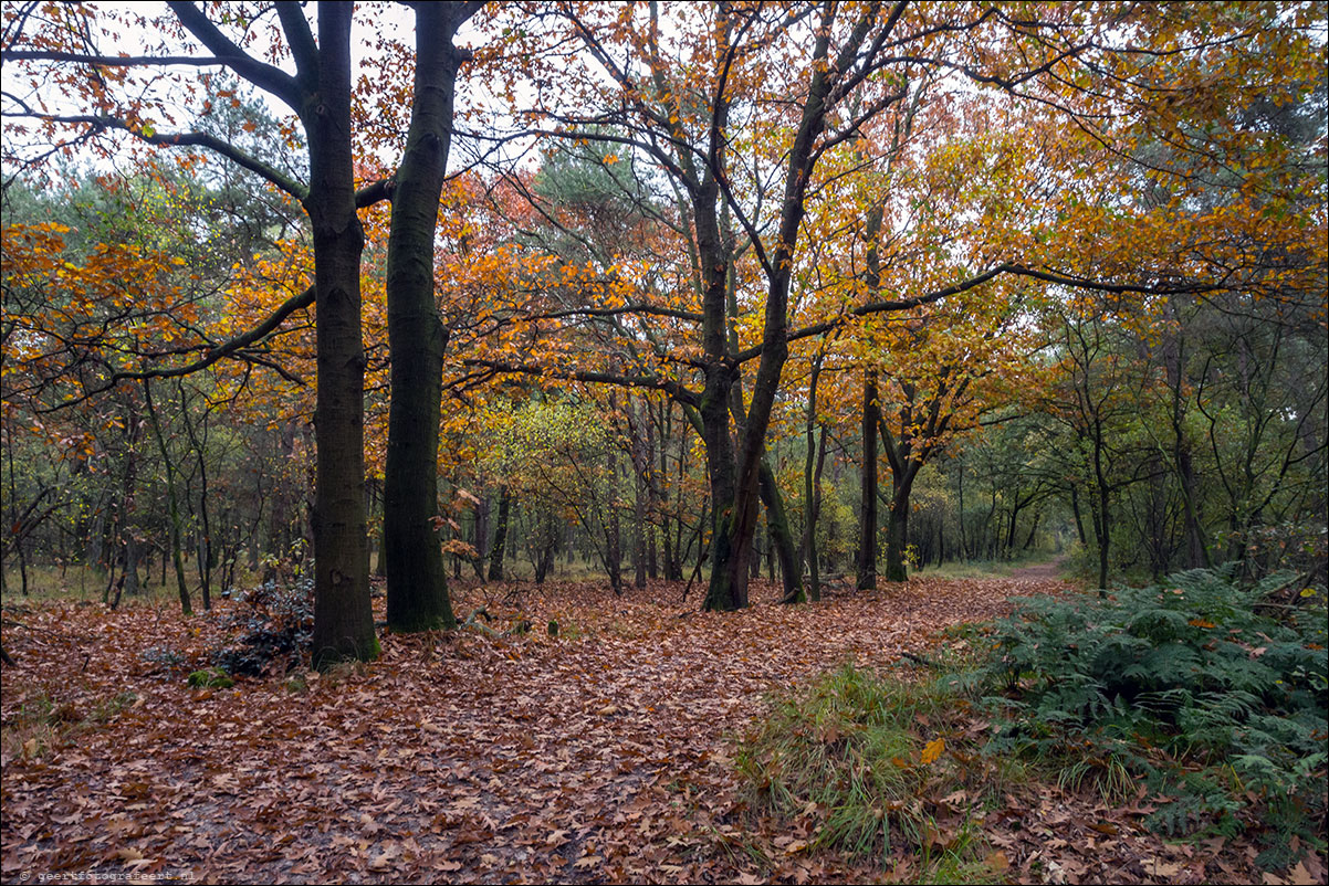 loonse en drunense duinen