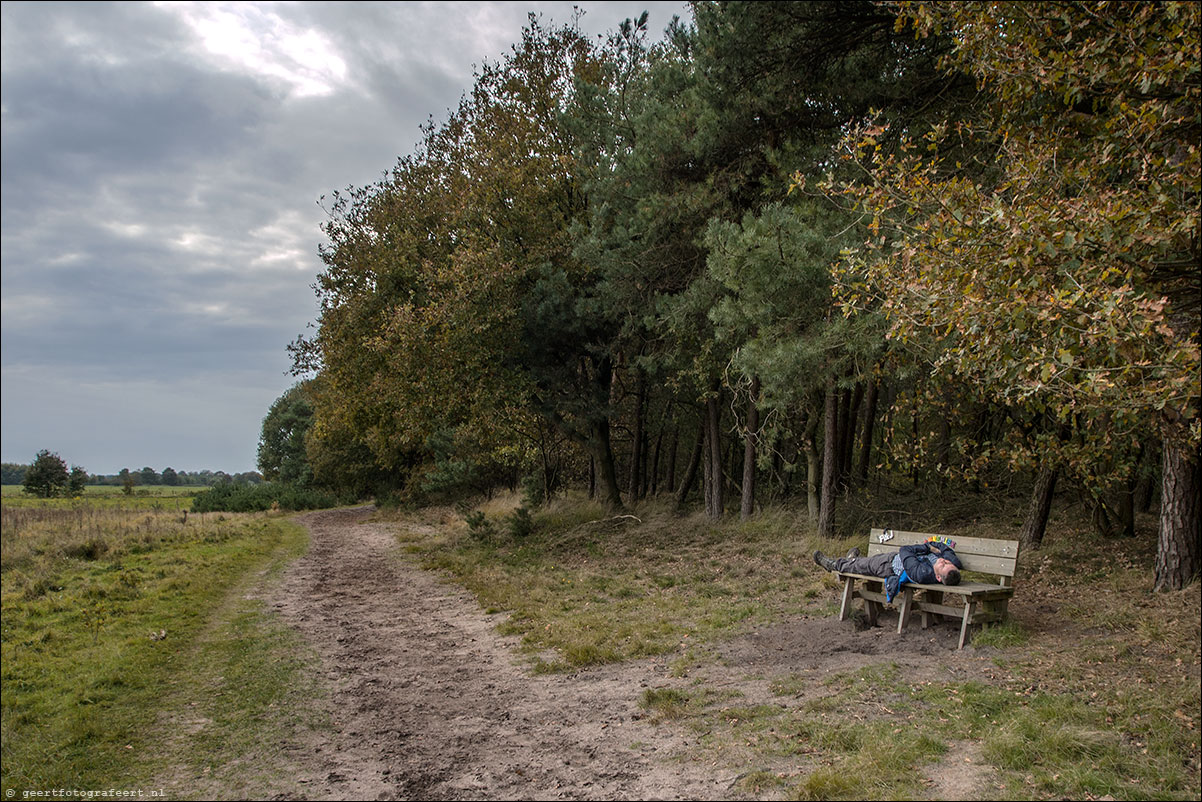 loonse en drunense duinen