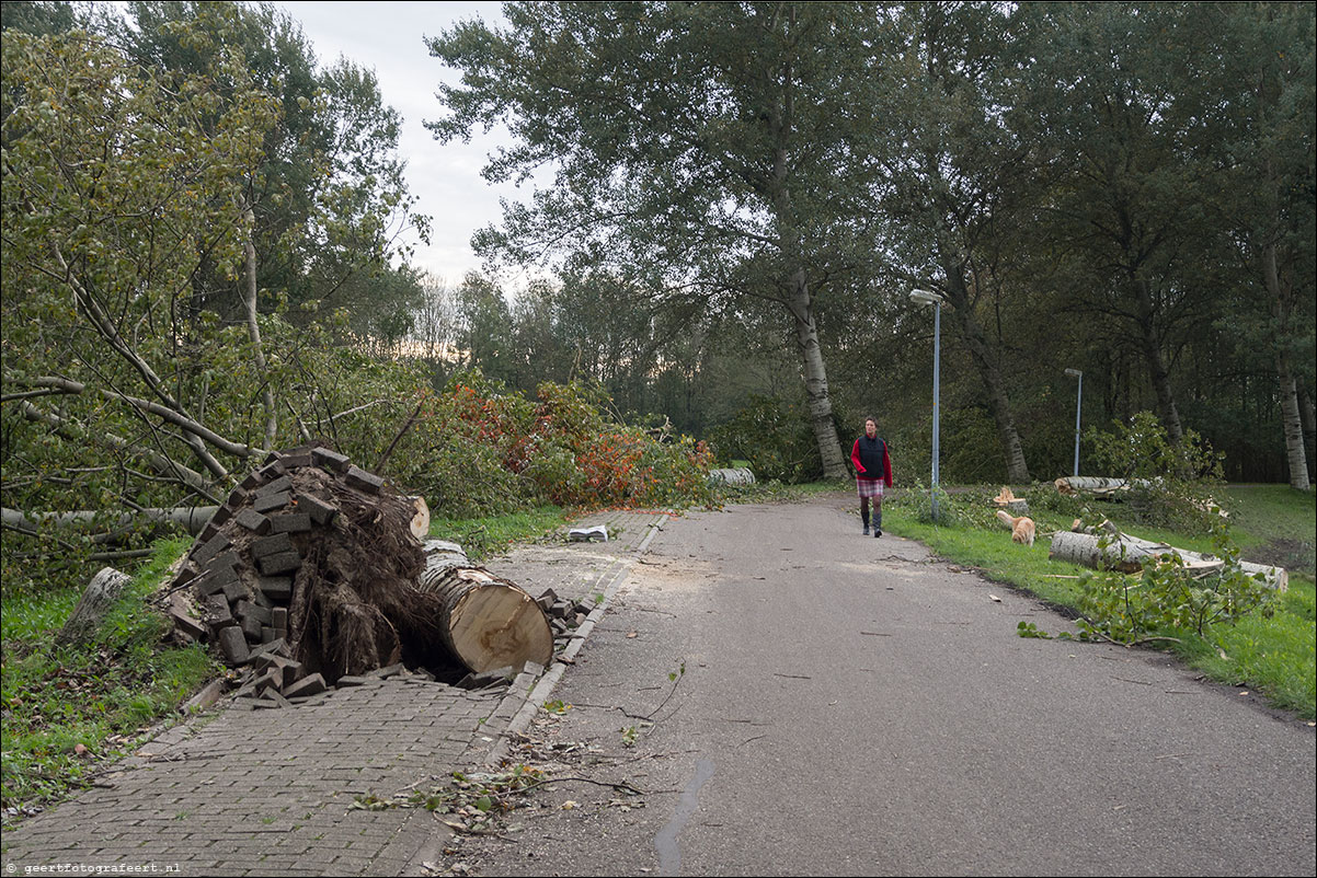 storm almere