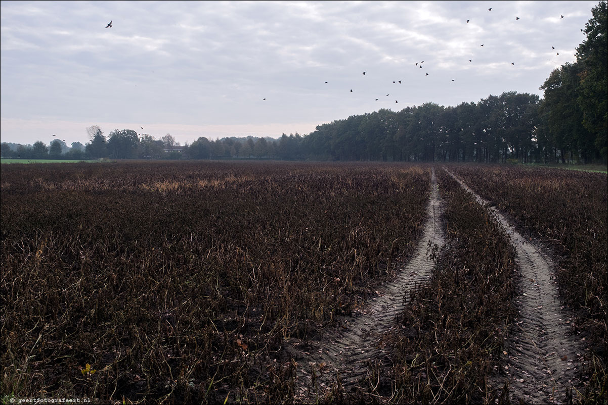 Westerborkpad Meppel - Koegange - Echten - Hoogeveen