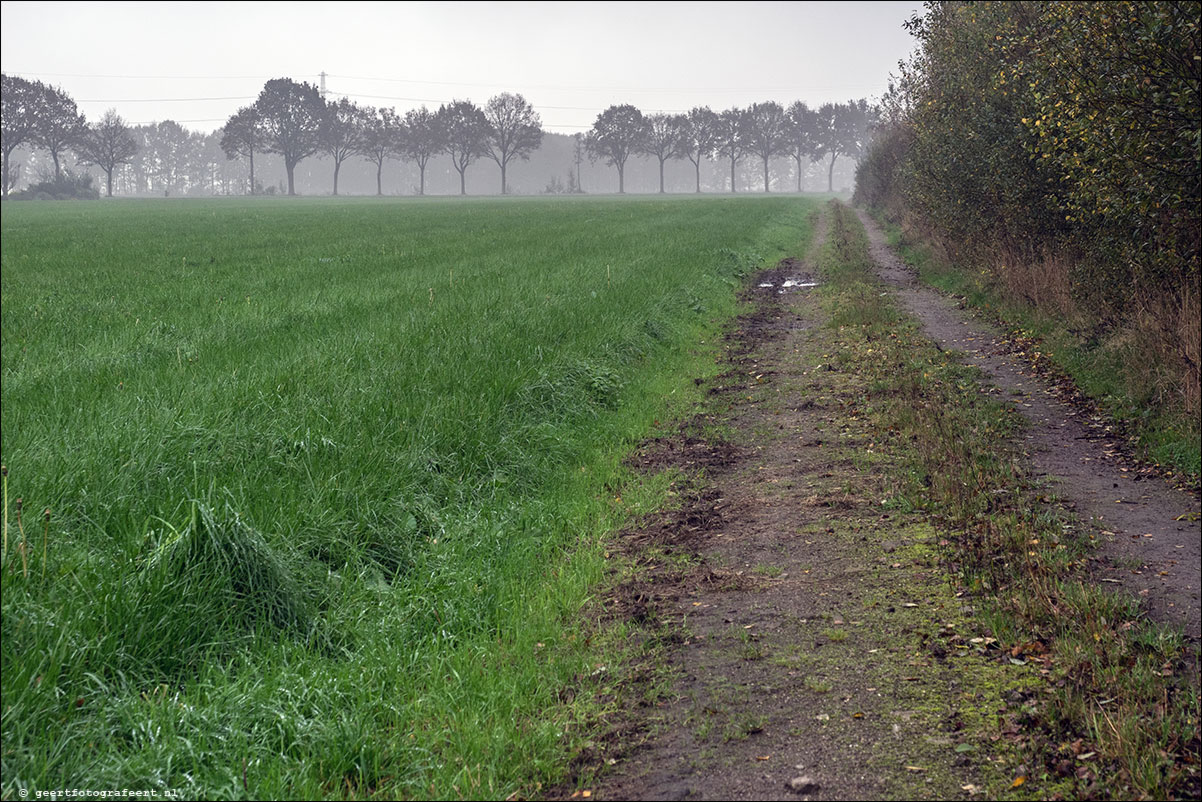 Westerborkpad: Hoogeveen - Wijster - Bijlen