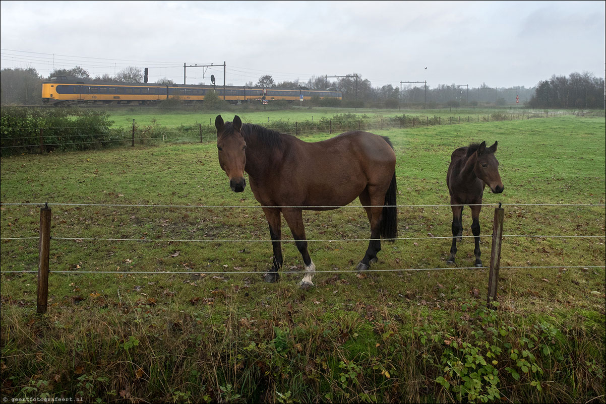 Westerborkpad: Hoogeveen - Wijster - Bijlen