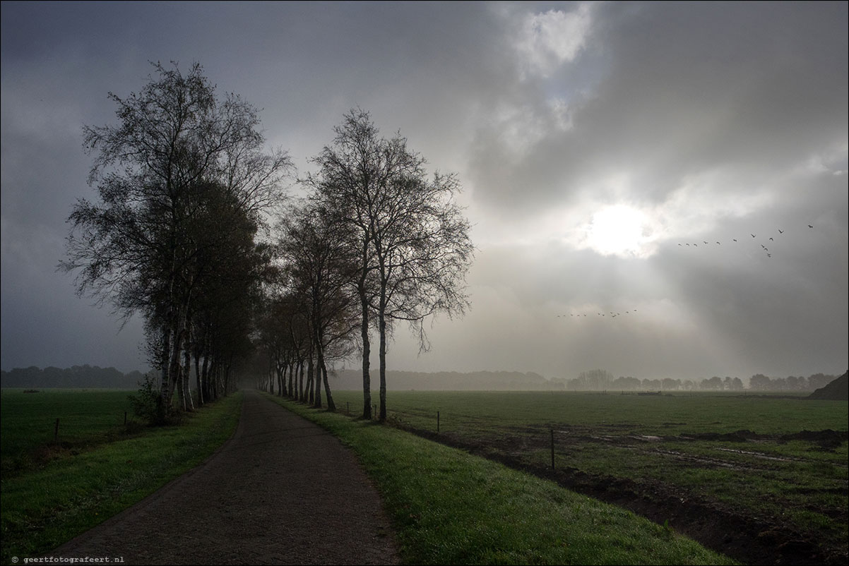 Westerborkpad: Hoogeveen - Wijster - Bijlen