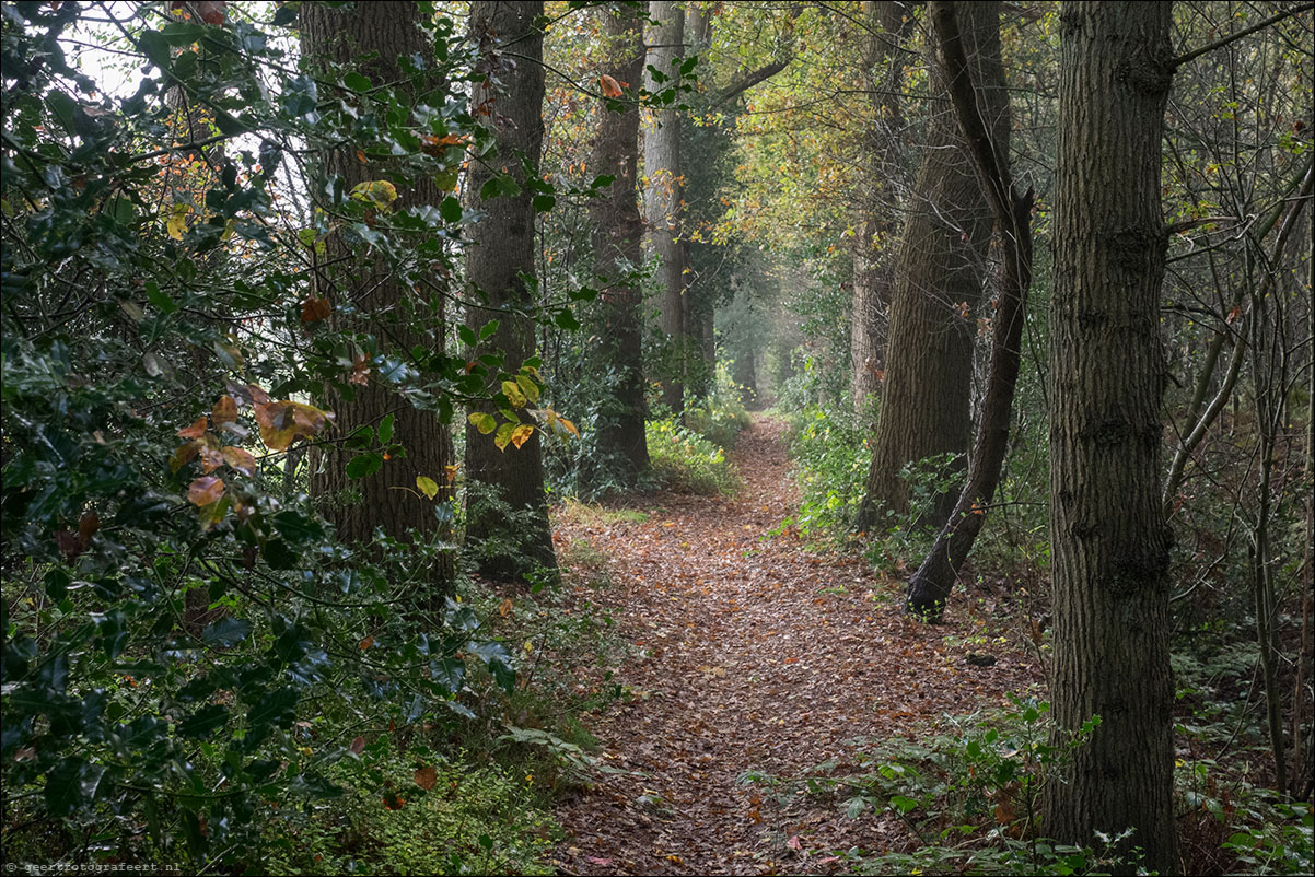 Westerborkpad: Hoogeveen - Wijster - Bijlen