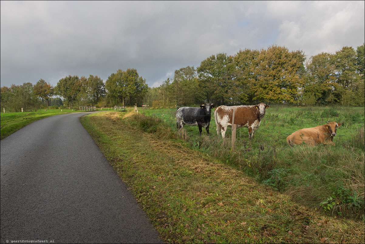 Westerborkpad: Hoogeveen - Wijster - Bijlen