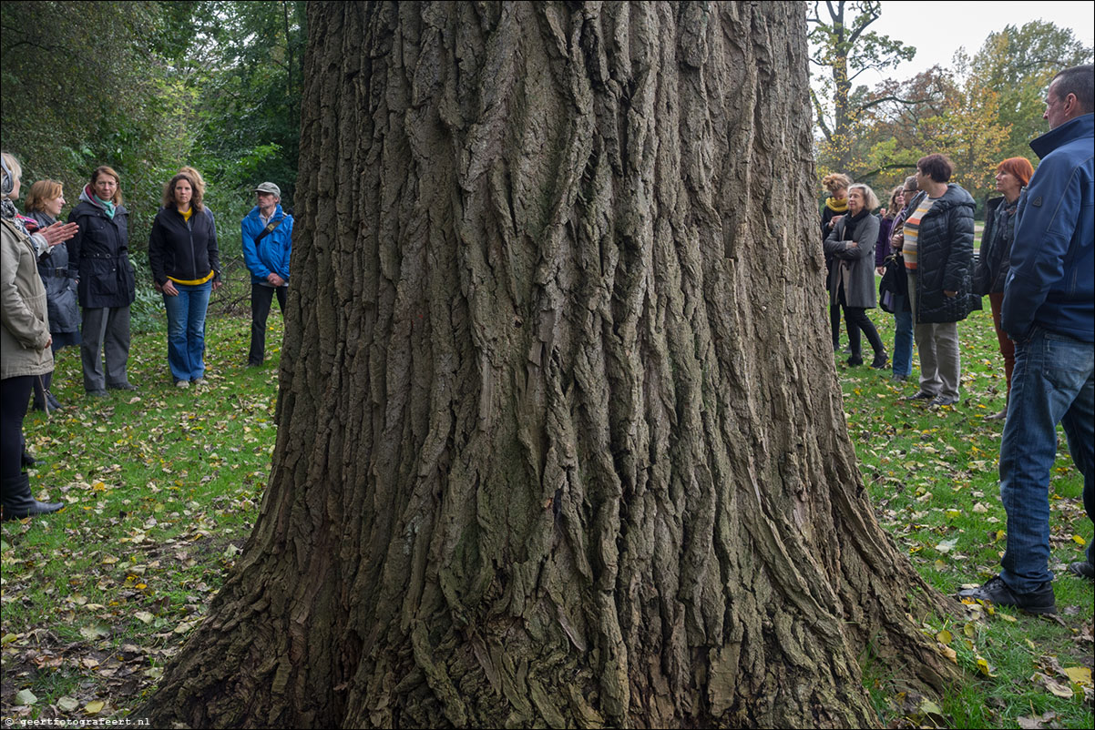 Dag van de Stilte, stiltewandeling Vondelpark Amsterdam