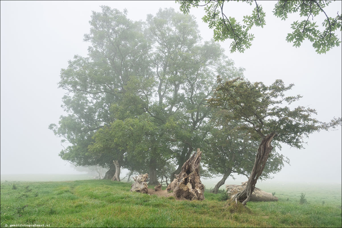 Milecastle LXVII - LXXX