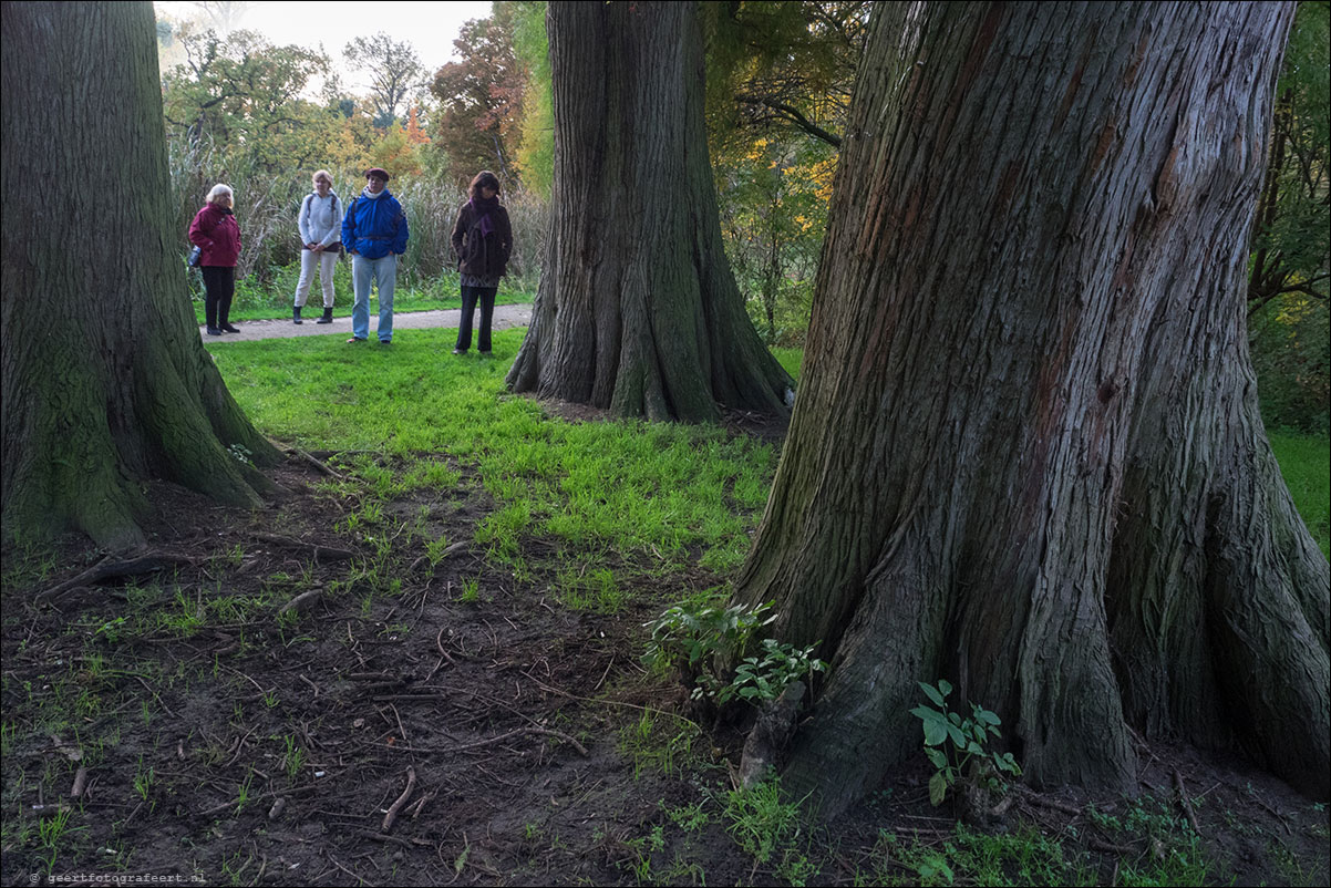 Stiltewandeling - Dag van de Stilte 2015