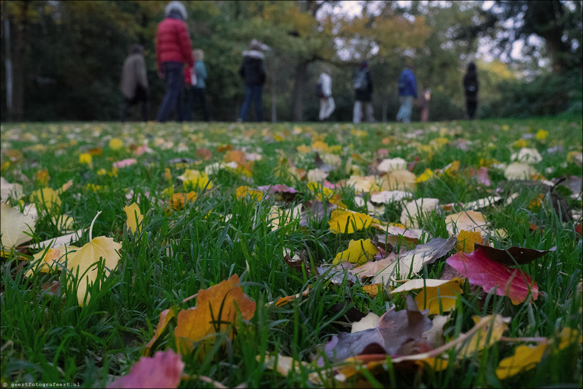 Stiltewandeling - Dag van de Stilte 2015