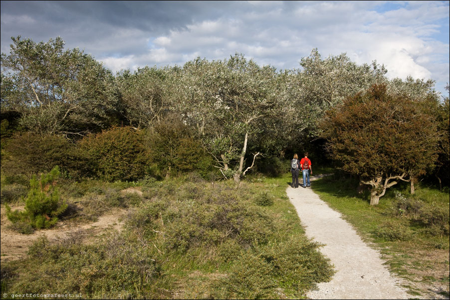 middenduinen