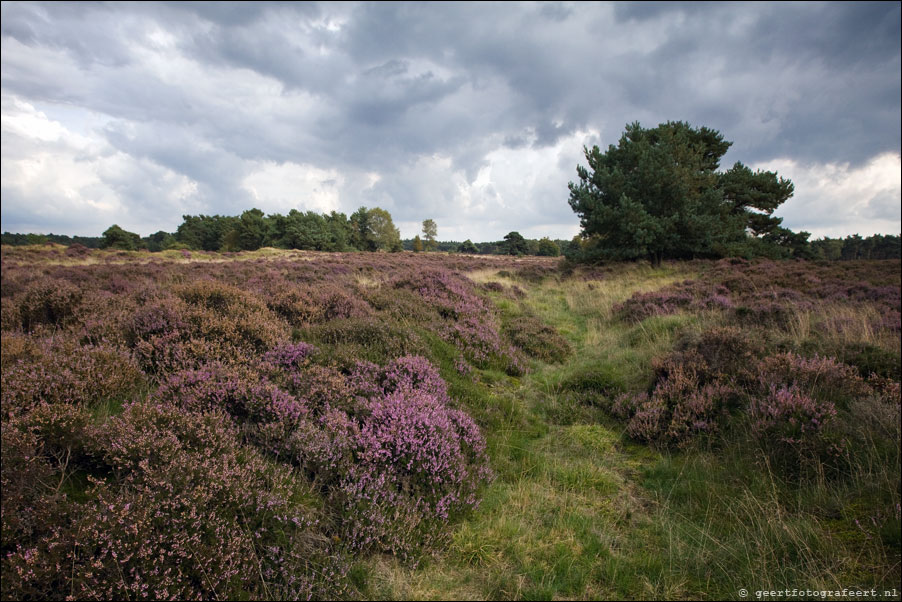 wekeromse zand