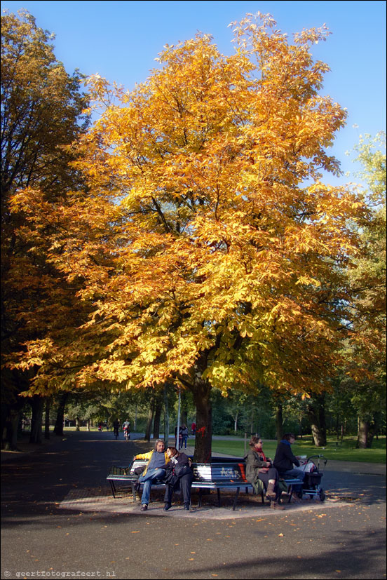 nazomer vondelpark