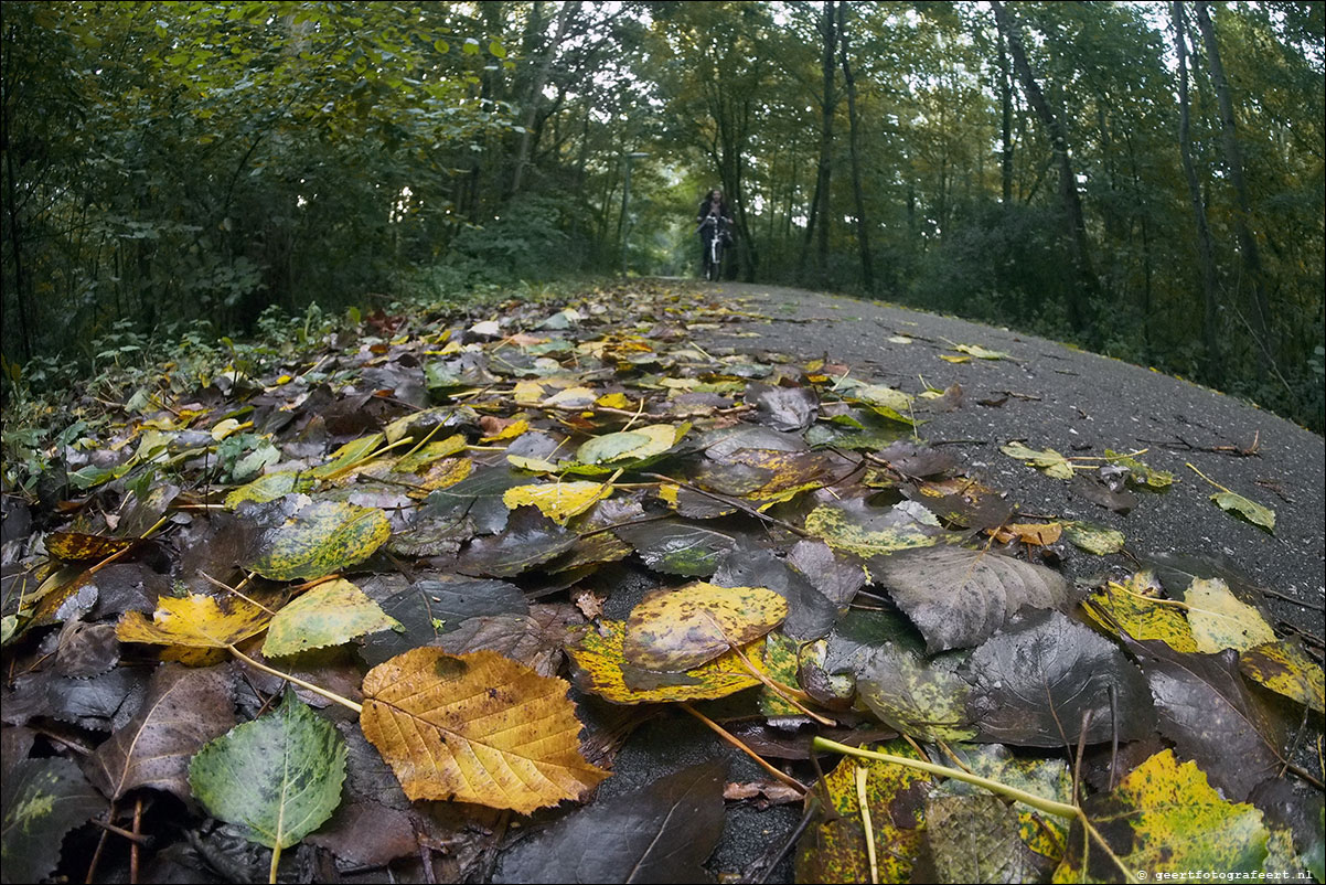 herfst