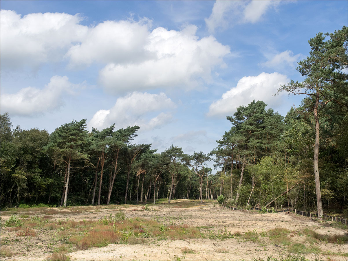 Westerborkpad Nunspeet -'t Harde