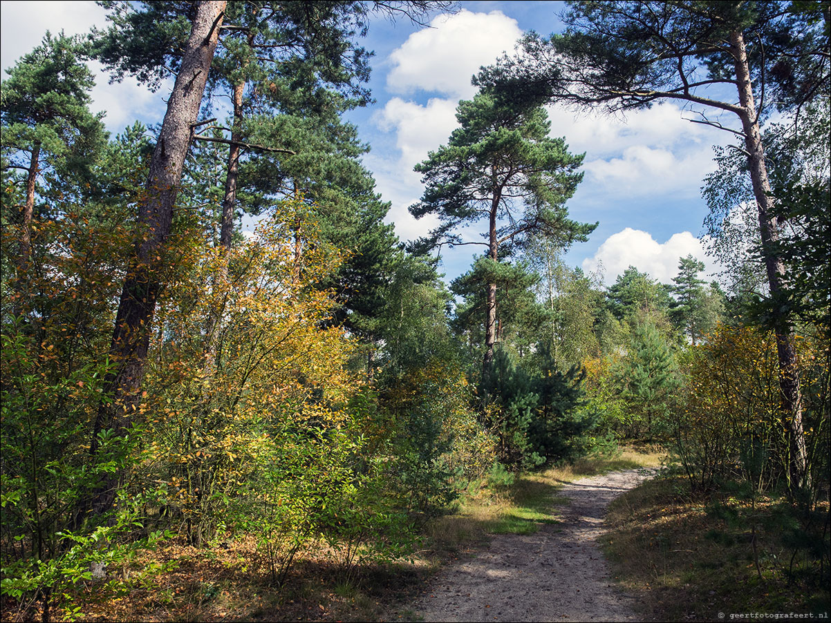 Westerborkpad Nunspeet -'t Harde