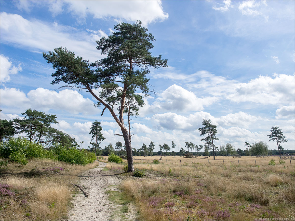 Westerborkpad Nunspeet -'t Harde