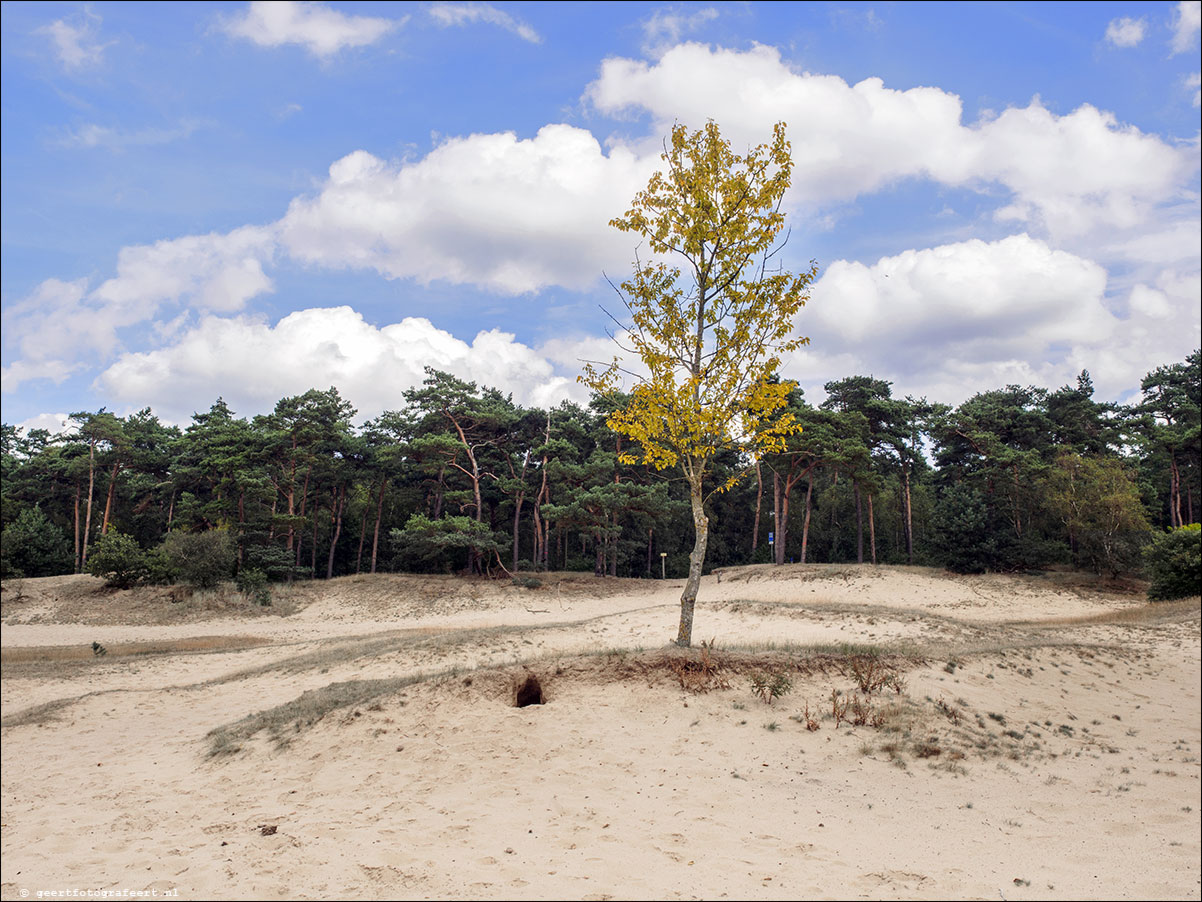 Westerborkpad Nunspeet -'t Harde