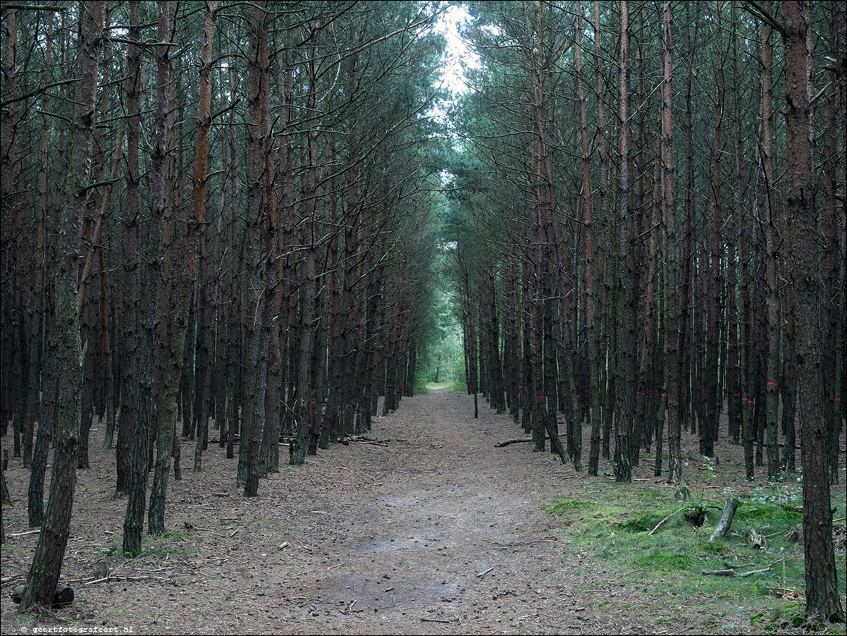 Westerborkpad Nunspeet -'t Harde