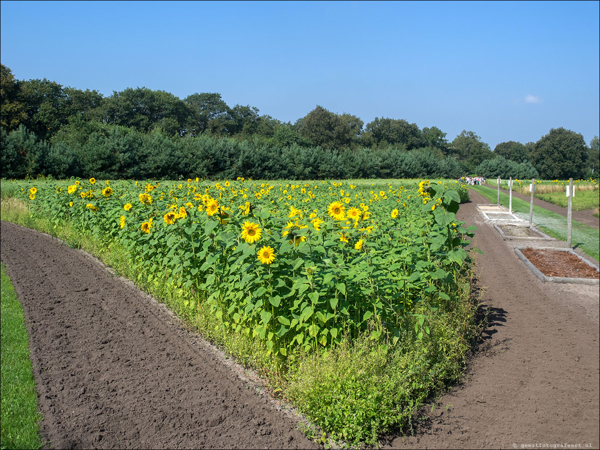 Westerborkpad 't Harde - Elburg - 't Harde