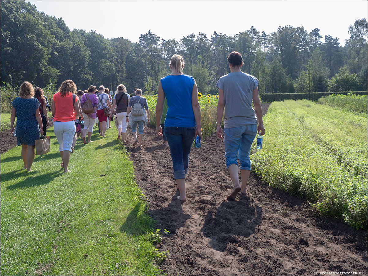 Westerborkpad 't Harde - Elburg - 't Harde