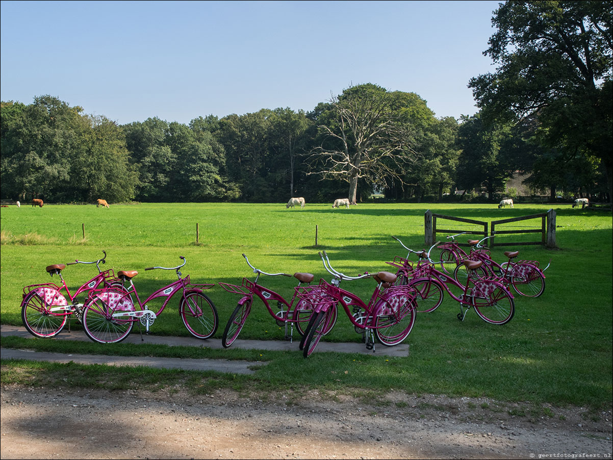 Westerborkpad 't Harde - Elburg - 't Harde