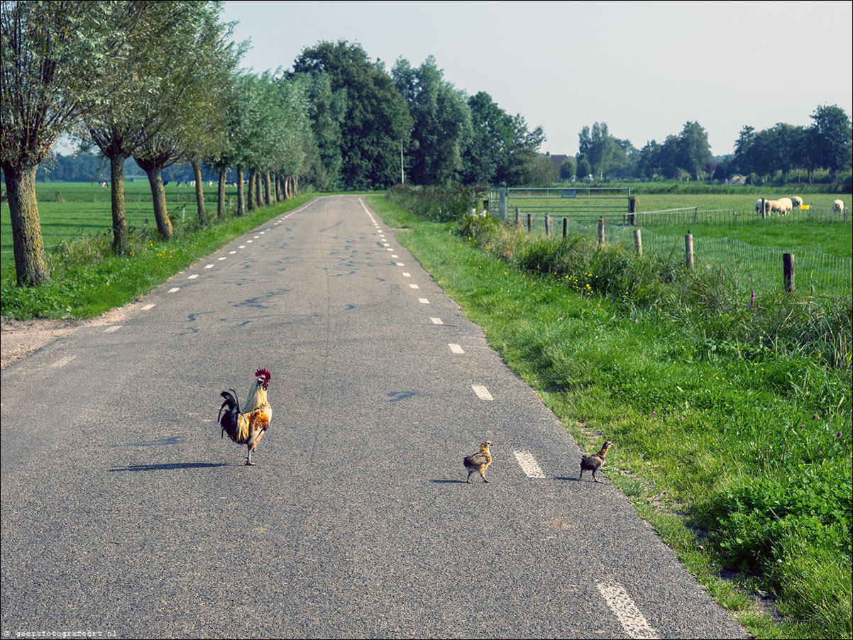 Westerborkpad 't Harde - Elburg - 't Harde