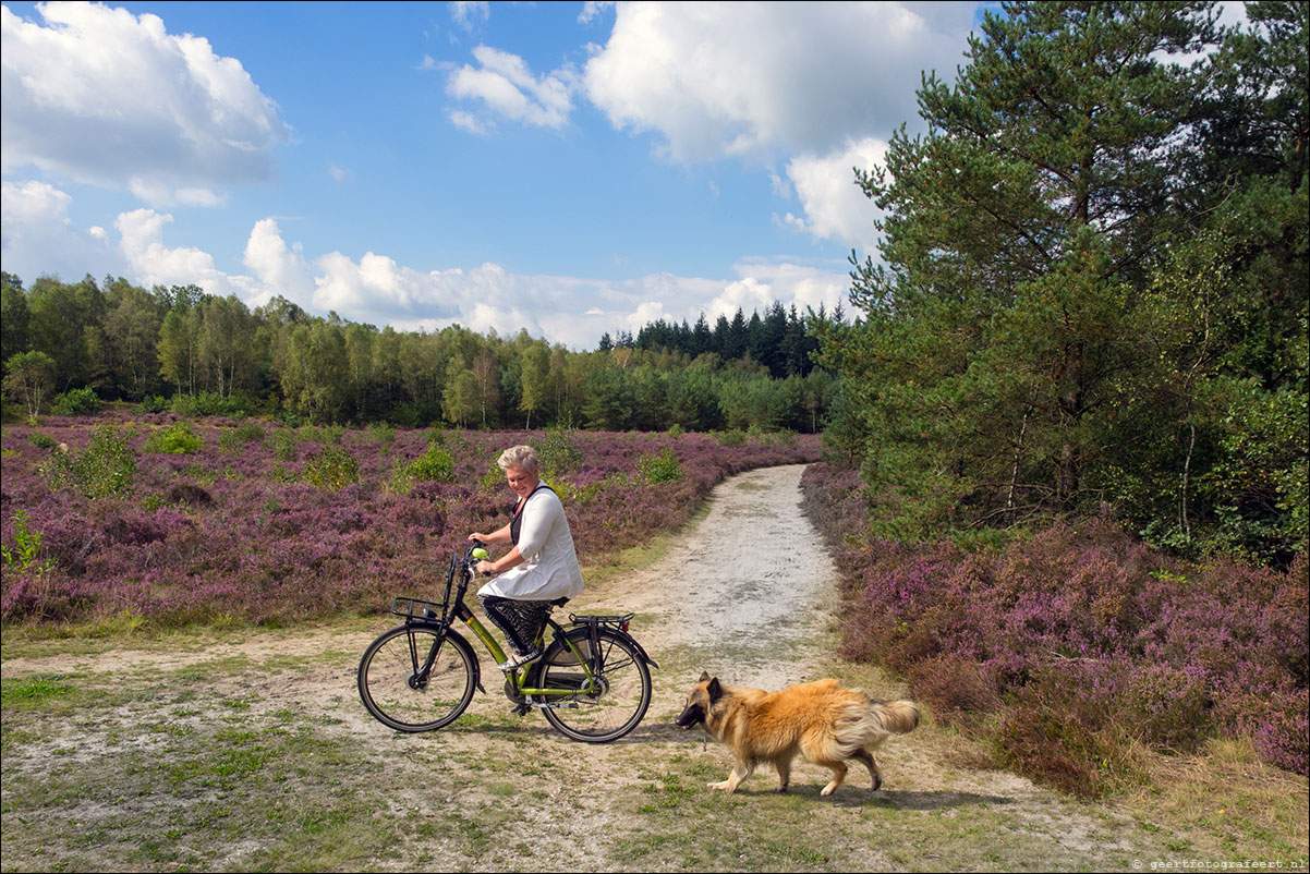 westerborkpad 't Harde Wezep