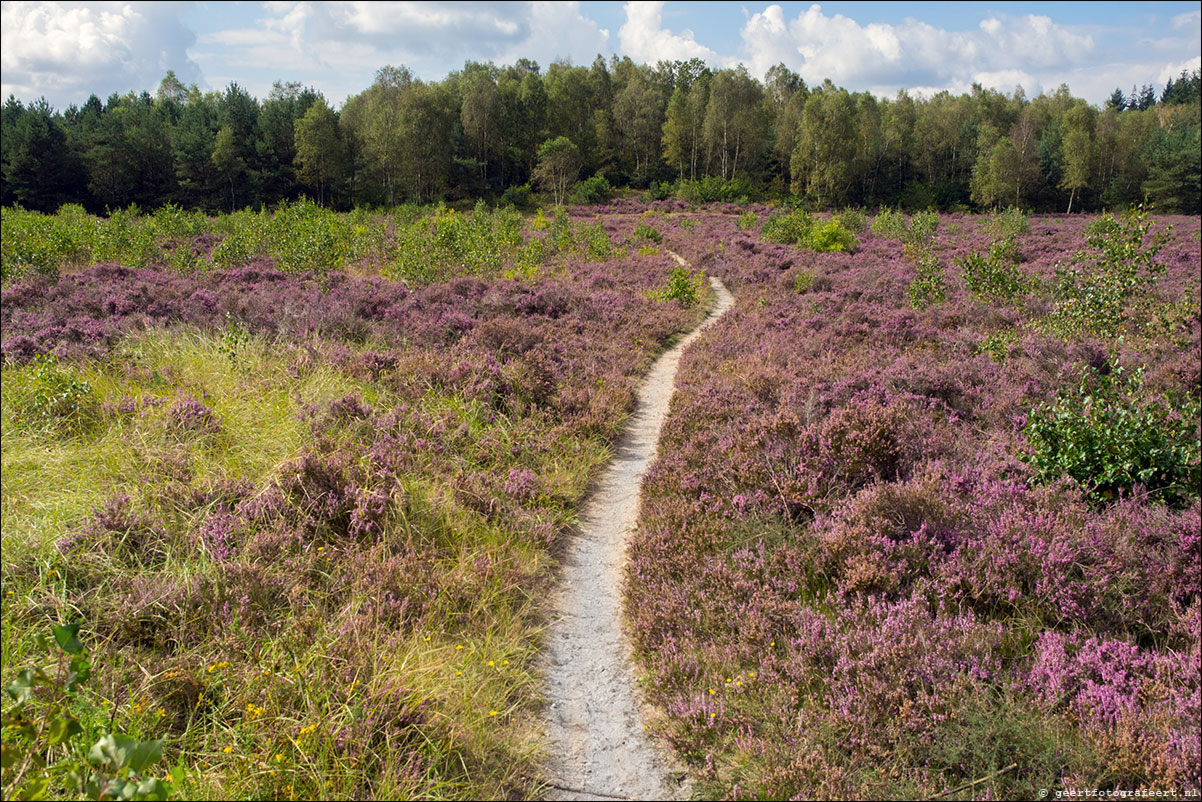 westerborkpad 't Harde Wezep