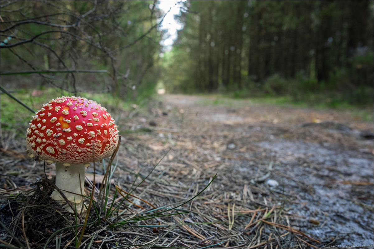 westerborkpad 't Harde Wezep