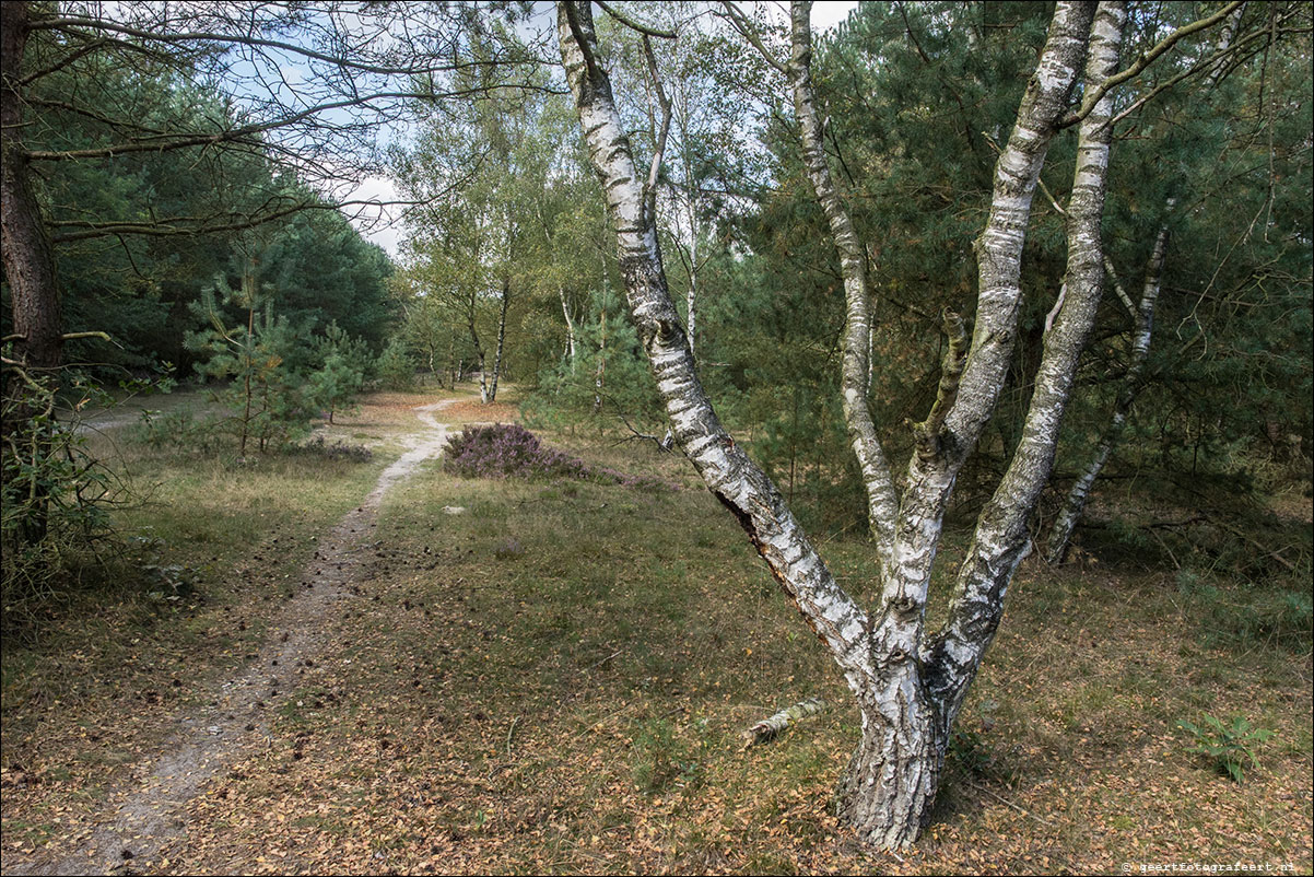 westerborkpad 't Harde Wezep