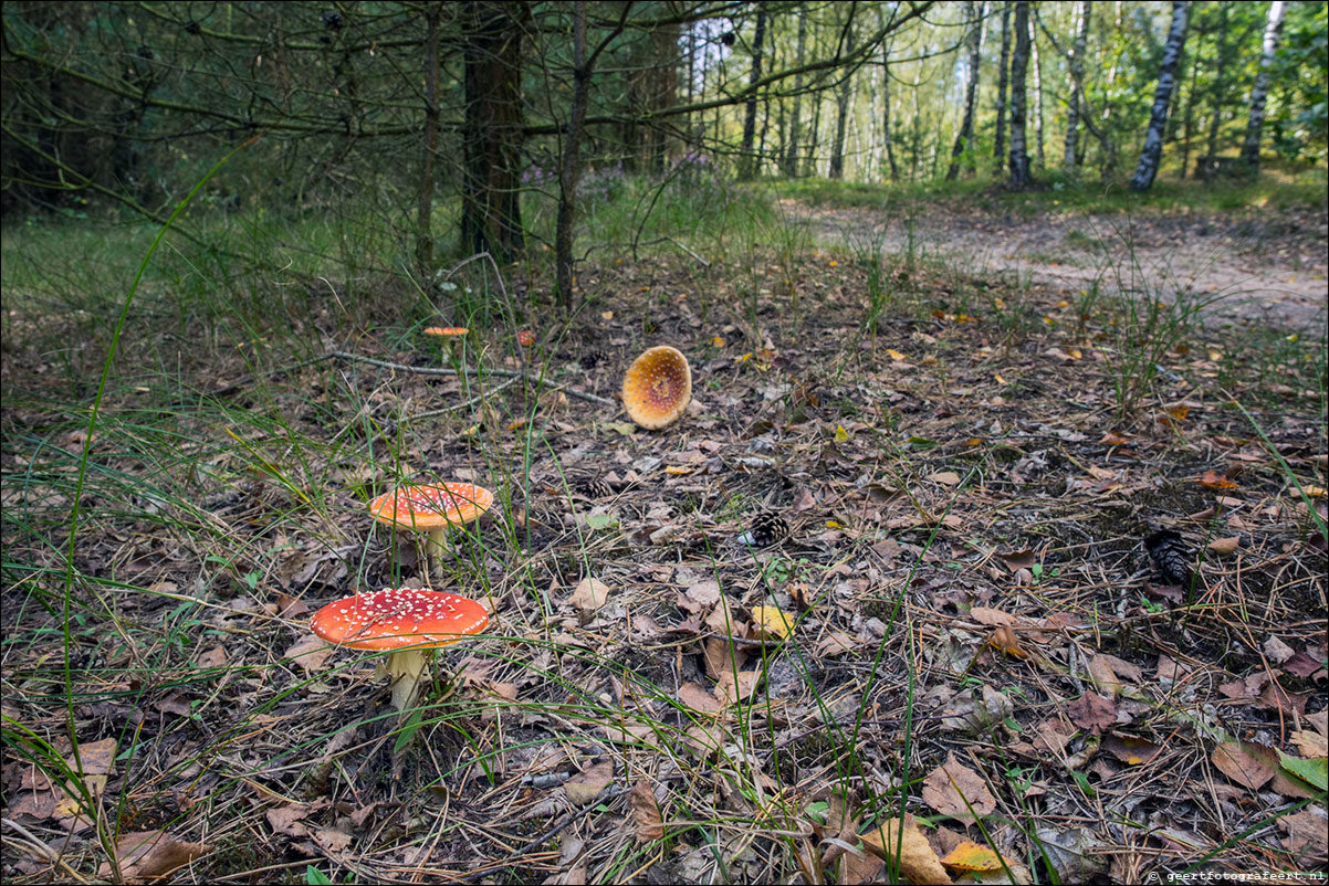 westerborkpad 't Harde Wezep