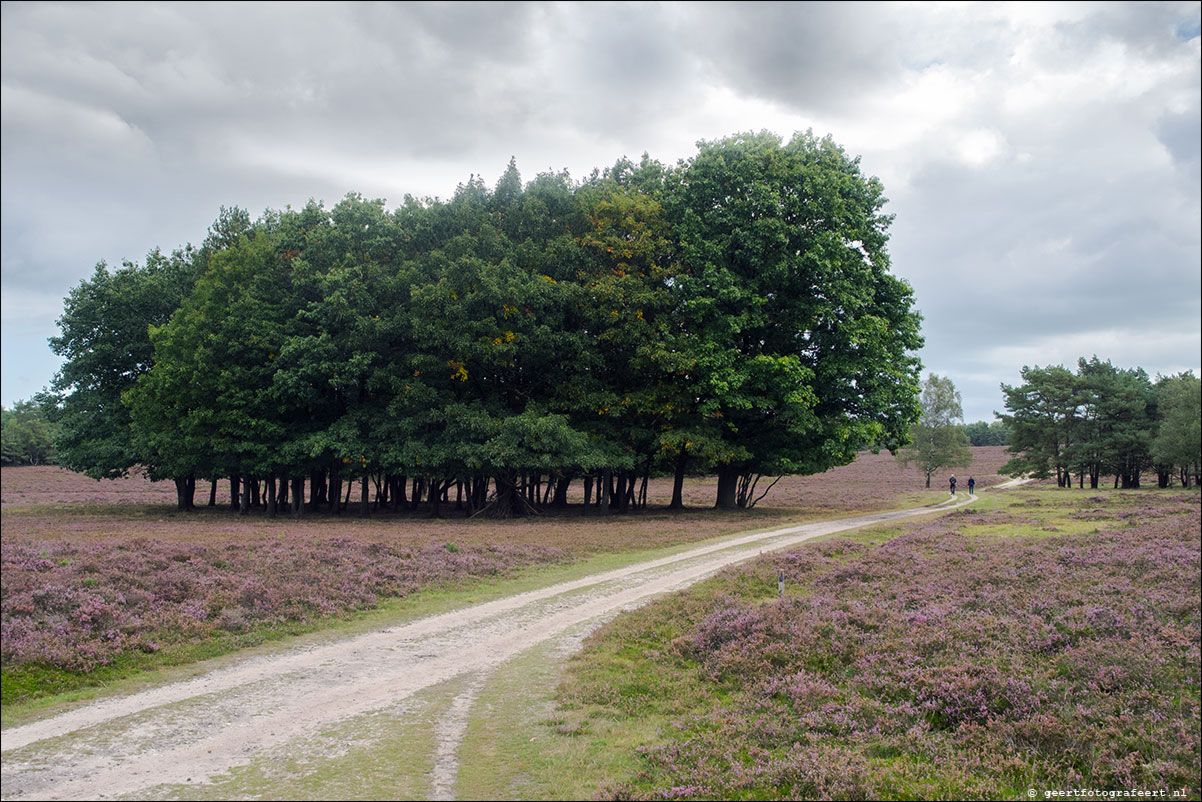 westerborkpad: wezep - zwolle