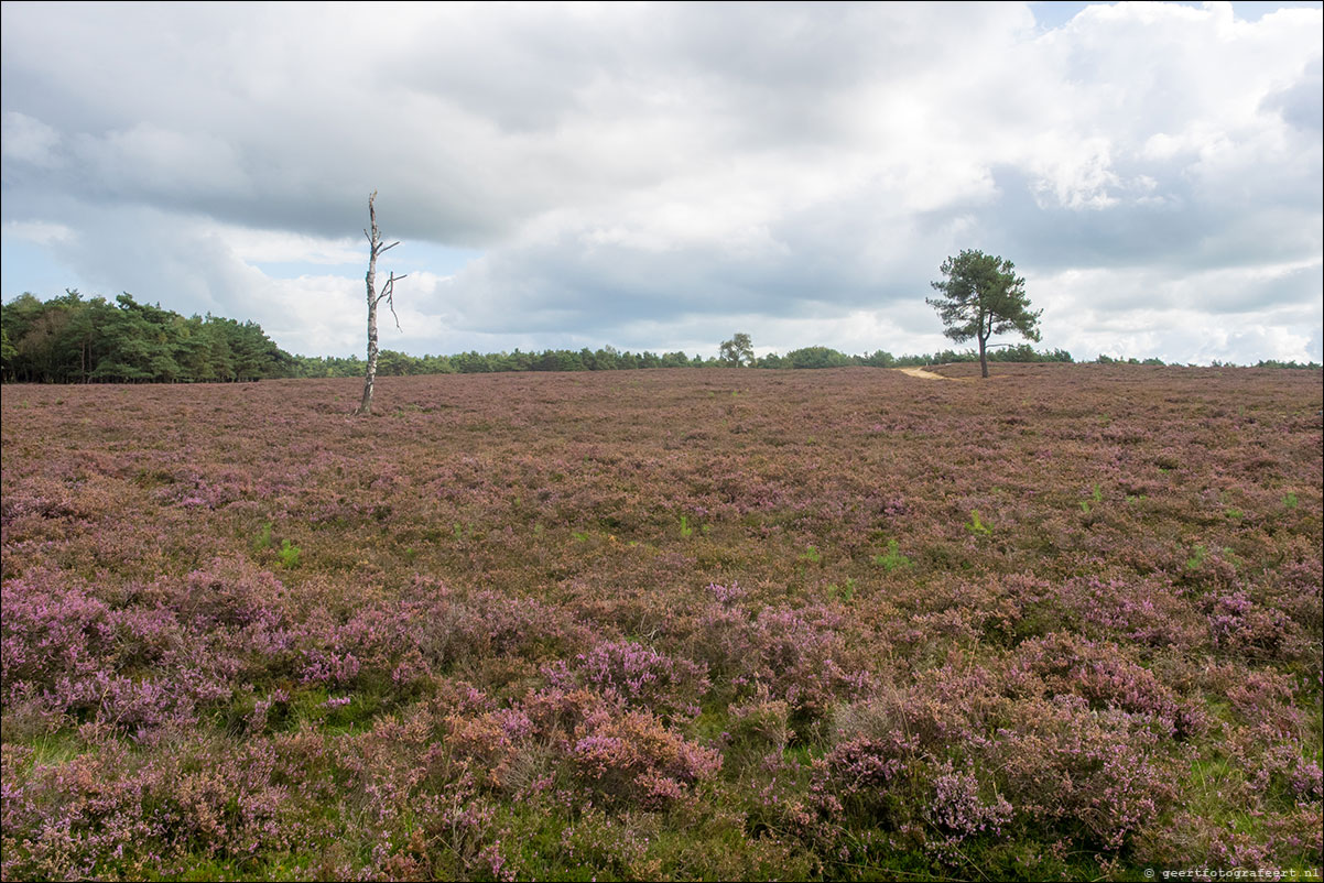 westerborkpad: wezep - zwolle