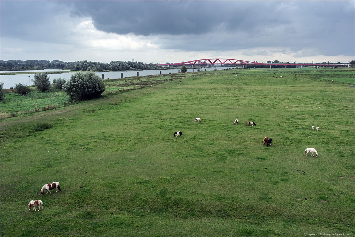 westerborkpad: wezep - zwolle