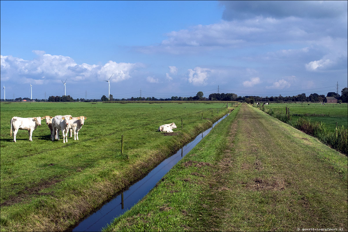 westerborkpad Zwolle Lichtmis