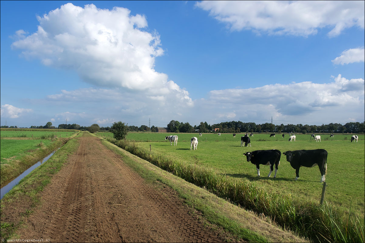 westerborkpad Zwolle Lichtmis